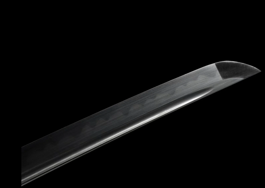 Hasegawa Samurai Sword