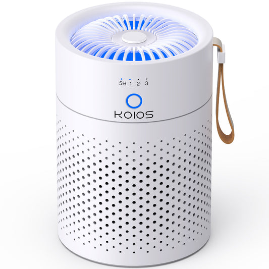 Air Purifiers For Home Bedroom H13 True HEPA Air Filter, Quiet Air Cleaner,Portable Small Air Purifier For Office, Living Room,Amazon Banned Sales Platform